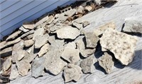 Stones with fossils, small pieces