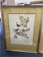 SC state bird and flower signed print 1933/5000