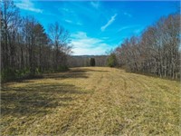 Large Land Tract for Sale in Floyd VA