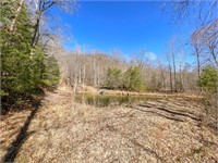 Wooded Land for Sale in Woolwine VA