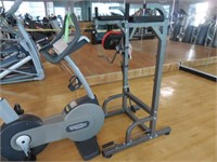 Lot with Technogym Bike & Tower