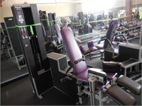 Lot with 14 Fitness Machines