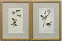 Set of 2 antique birds by John J Audubon
