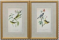 Set of 2 antique birds by John J Audubon