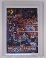 1990 WWF Wrestle Mania IV #10
