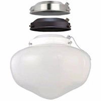 Elite Multi-colored Ceiling Fan Globe LEDLight KiT