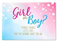 Photo Backdrop Party Banner for Gender Reveal