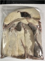 8 Colossal Rat - Frozen