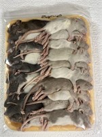 20 Weaned Rat Pup - Frozen