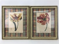 (2) Framed Flower Art Prints