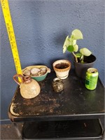 Pottery & Pots Plants
