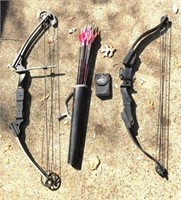 Genesis Bow with Arrows
