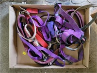 Box of Pet Leashes (1st Garage)