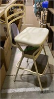 Dual use Costco stepstool/chair seat(1175)