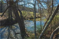 Land for Sale on the Little River in Floyd VA