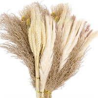 DEAYOU 65 PCS Natural Dried Pampas Grass