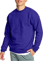 Hanes Men's EcoSmart Sweatshirt, purple, Small