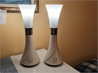 2 Ottlite Lamps