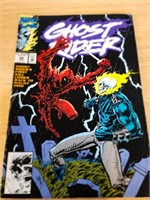 Ghost Rider Issue 34