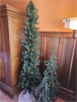 Unlit Family of Skinny Christmas Trees, 80" x, 50"