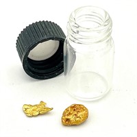 Alaskan Panned Gold Nuggets