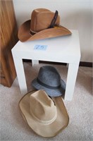 (3) Hats w/ Plastic Table