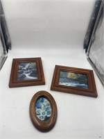 3 wooden picture frames with nature prints