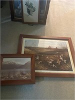 two framed nature prints