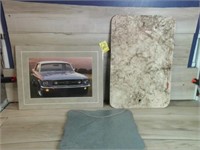 MUSTANG PICTURE, METAL NO PARKING SIGN, METAL SIGN
