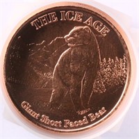 Tube of 20: 1oz Copper Rounds - Giant Bear