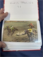 36 horse racing postcards