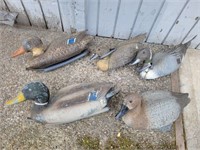 (5) Assorted Duck Hunting Decoys