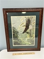 Bald Eagle Print by Ron Parker