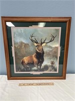 Elk Print
