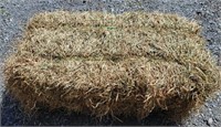 Approx. 300 Orchard Grass Square Bales