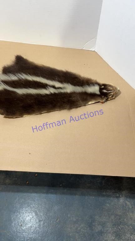 2023 Spring collectible auction
