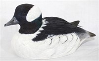 Painted wood duck, McDowell's 1981