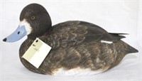 Scaup Hen painted & carved wood duck
