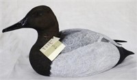 Canvas Back Drake Life Size wood duck