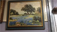 Large framed bluebonnet picture . Approximately
