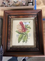 Botanical Framed Print In Deepdish Decorative