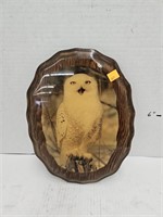 Owl Picture on Wood Approx 12 x 9 Inches