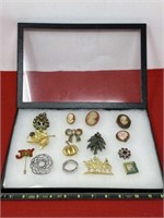 Showcase Of Brooches including Cameo