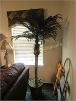 Decorative Palm Tree