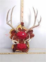 Double rack deer antler mount