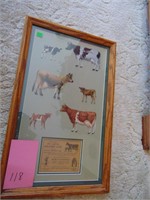 Framed DeLaval metal cows & calves