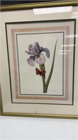 Framed Botanical Picture