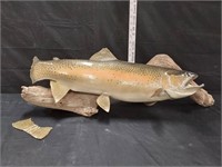 Large Taxidermy Trout (Has Fin Damage)