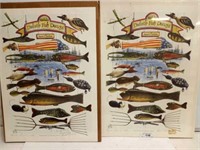 SIGNED AND NUMBERED FISHING PRINTS