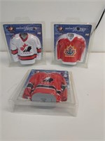 3.  Team canada mini jersey's